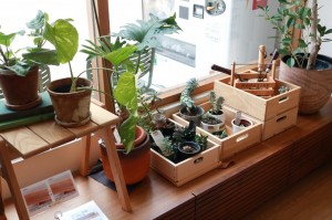 家具　富山　観葉植物　オシャレ