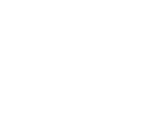 MISSION
